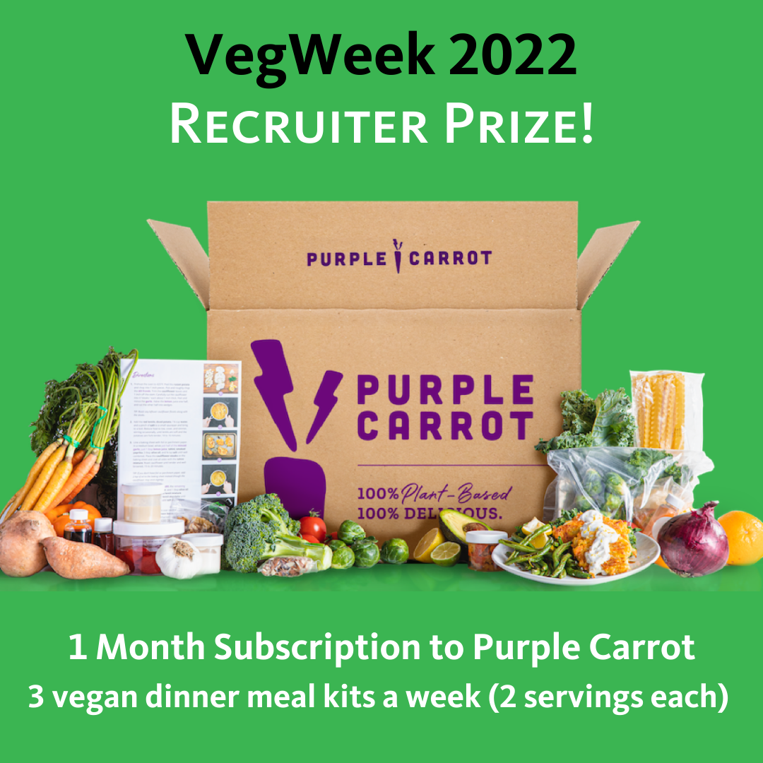 vegweek 2019 prizes including veganwear briefcase and Sappho New Paradigm makeup